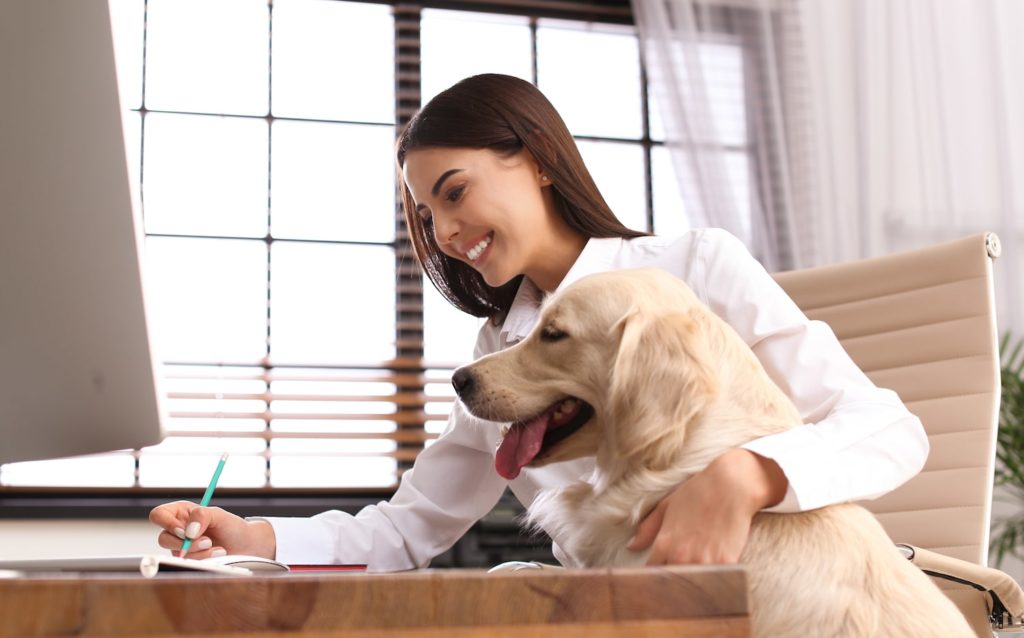 5 tips for remaining productive while working from home | vertical software businesses